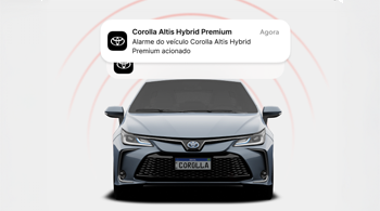 imagem_diferencial2